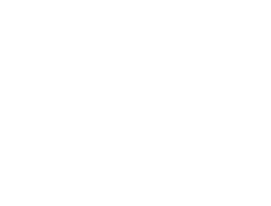 PHYSIO SHAPE CENTER
